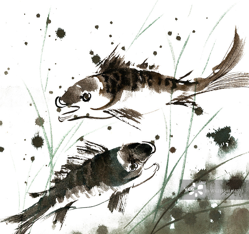 游泳的鱼图片素材