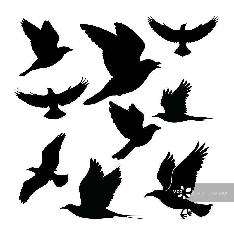 一组鸟类剪影合集图片素材