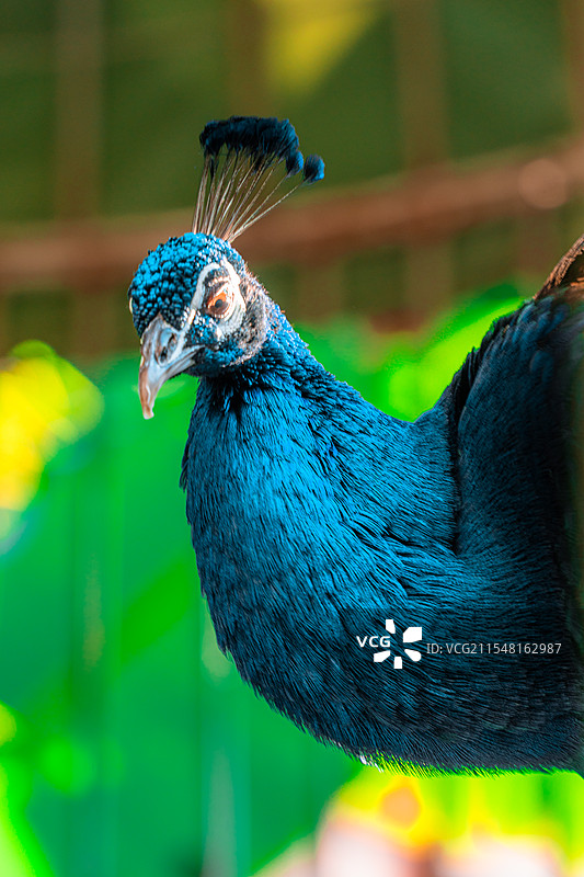 重走滇缅公路图片素材