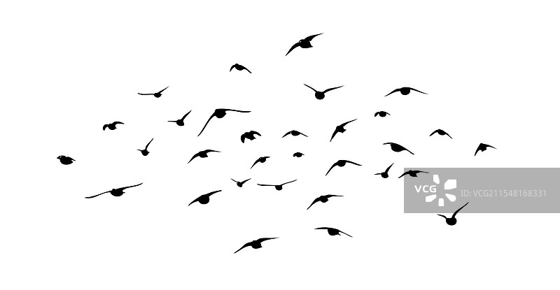 飞翔的鸟类剪影群体手绘图图片素材
