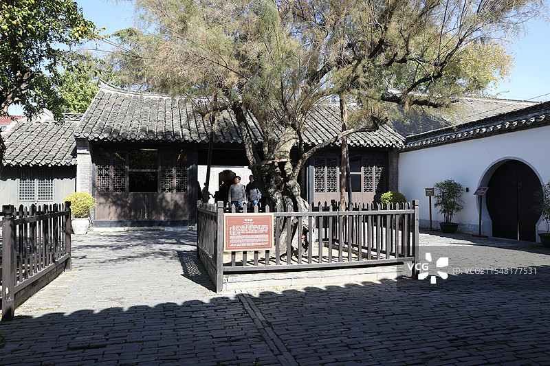 江苏淮安：周恩来故居的观音柳图片素材