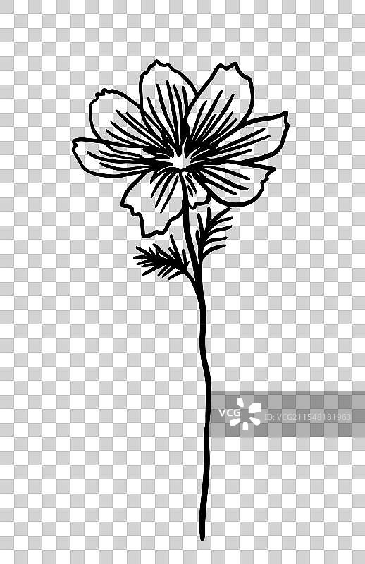 单线极简风格的单色宇宙花图片素材