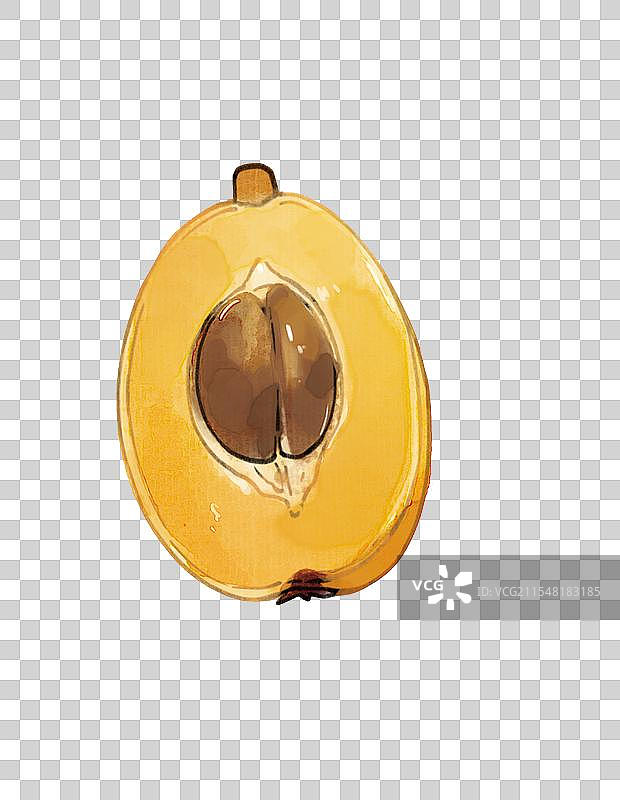 枇杷种子特写插画图片素材