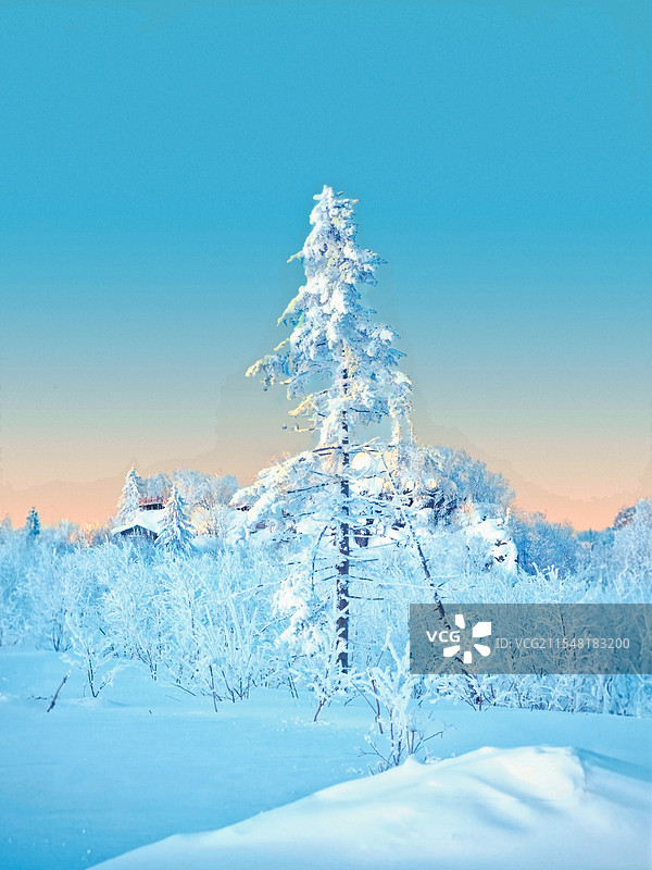 冰雪奇缘图片素材