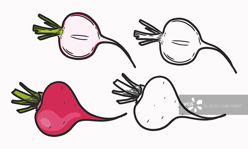 整根萝卜和切好的萝卜图片素材