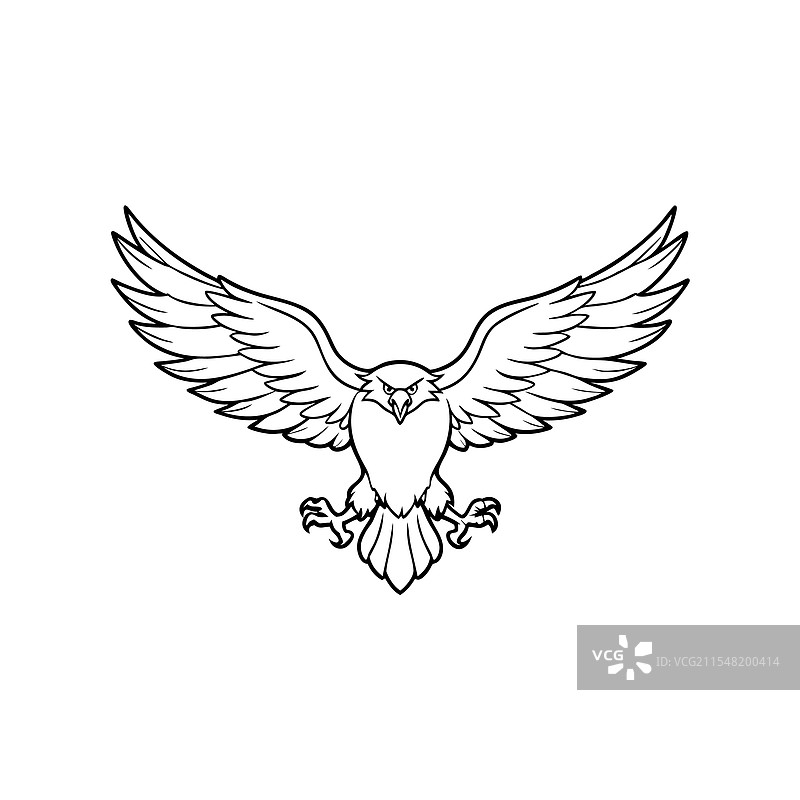 张开翅膀的凶猛鹰的线条艺术图片素材
