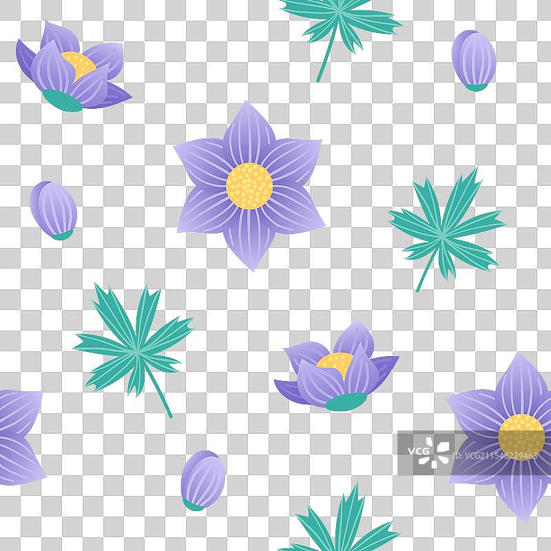 深色背景上的无缝毛茛花图案图片素材