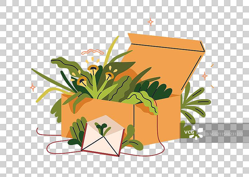 环保纸箱与绿色植物叶子图片素材