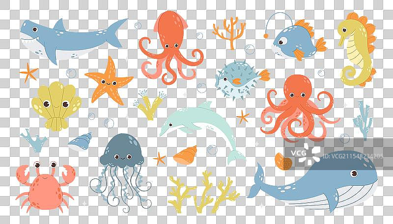 一组海洋和海底动物图片素材