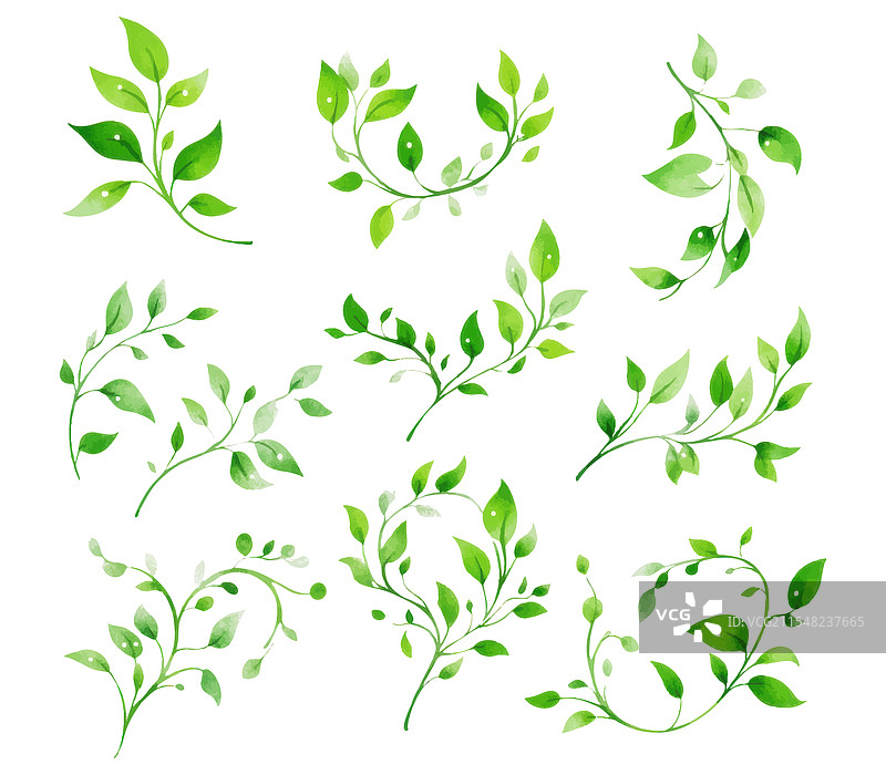 极简水彩绿色叶子和树枝图片素材
