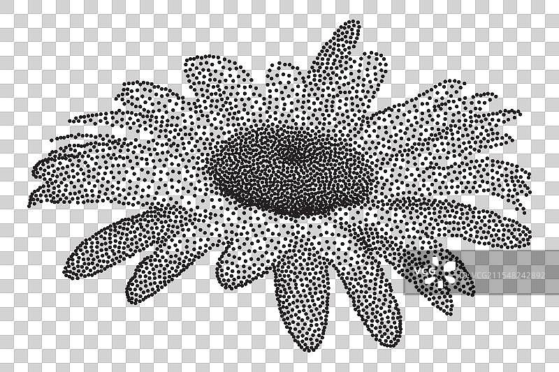 点状的洋甘菊花，适合时尚的Y2K风格图片素材