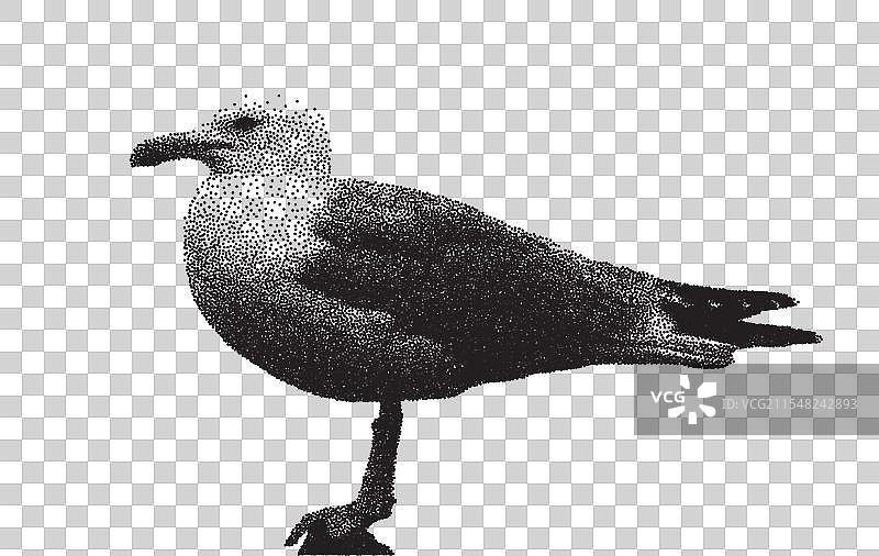 点状涂鸦的海鸥，适合时尚的Y2K复古风格图片素材