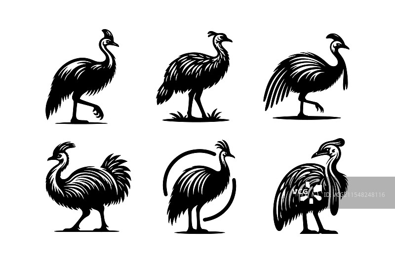 独特的鸸鹋轮廓野生动物图形图片素材