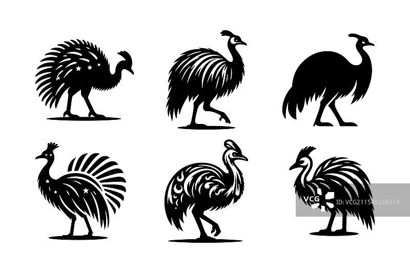独特的鸸鹋轮廓野生动物图形图片素材