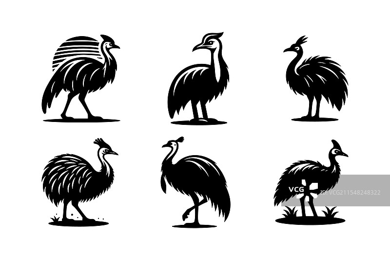 独特的鸸鹋轮廓野生动物图形图片素材