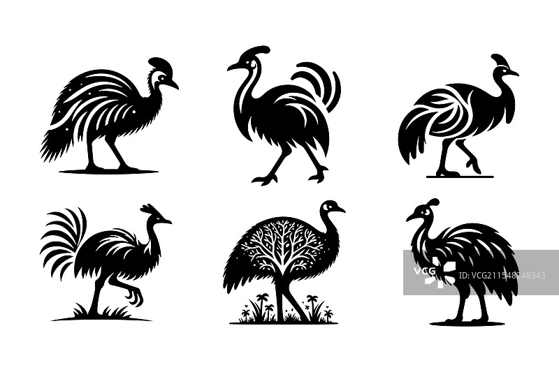 独特的鸸鹋轮廓野生动物图形图片素材