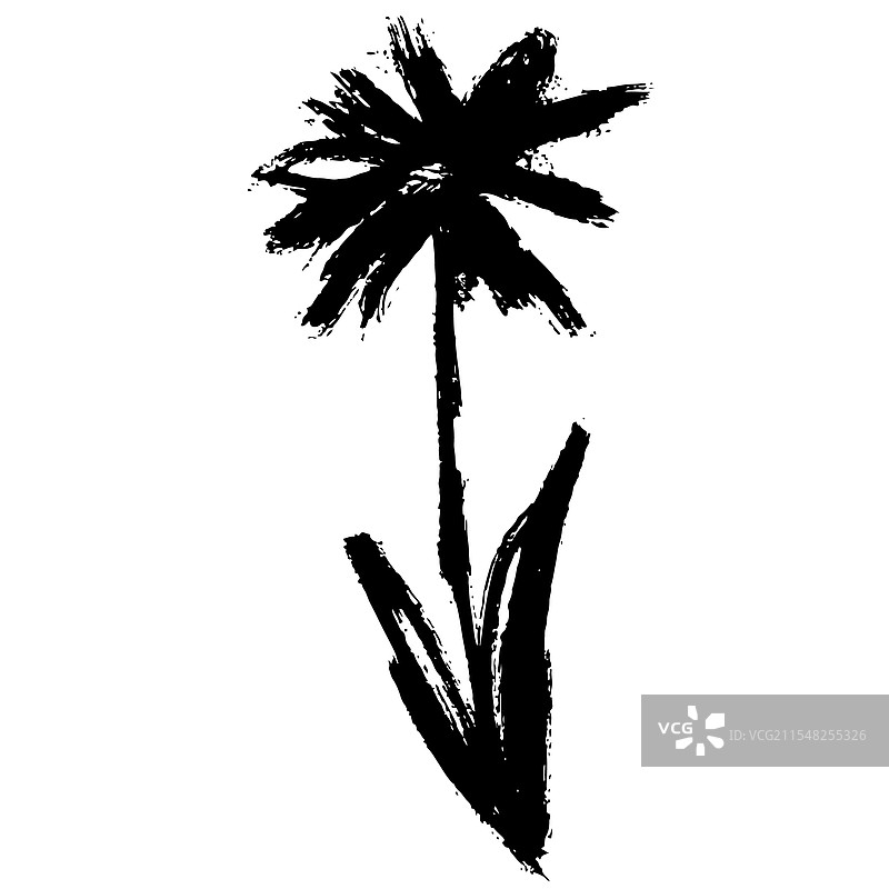 手绘刷子花卉和叶子的剪影图片素材