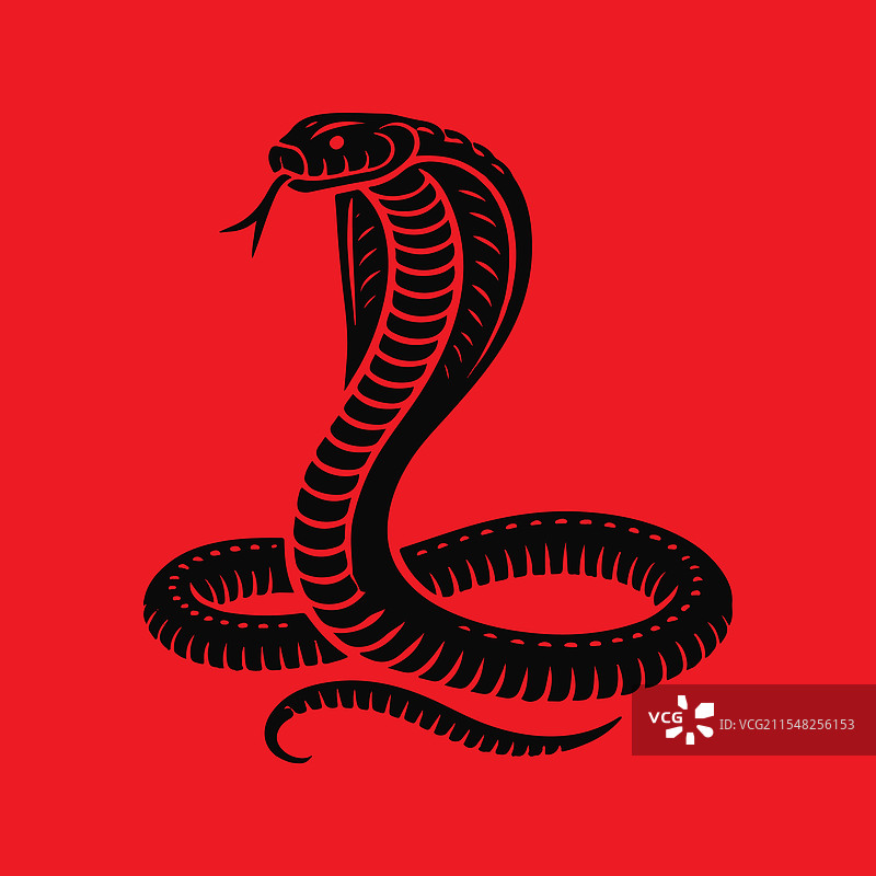 黑色眼镜蛇在红色背景上图片素材