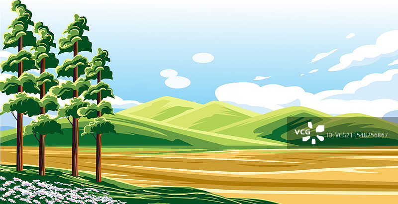 空旷土地的景观，矗立着高大的树木图片素材