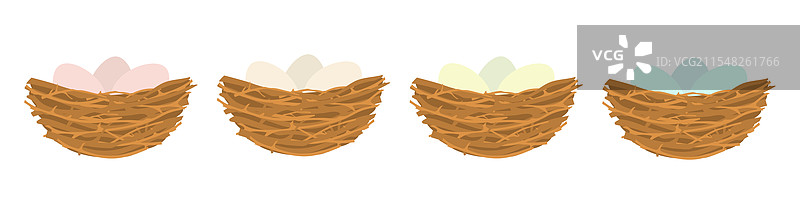 鸟巢里有五颜六色的蛋图片素材