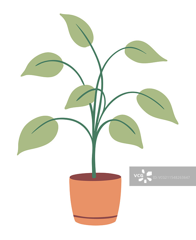 盆栽绿植图片素材