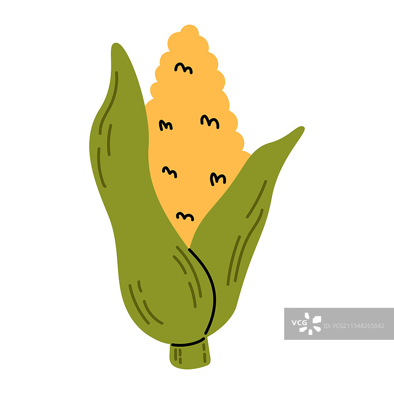 手绘玉米涂鸦风格新鲜饮食图片素材