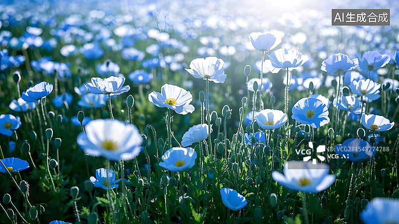 【AI数字艺术】万物复苏春暖花开花海草地图片素材