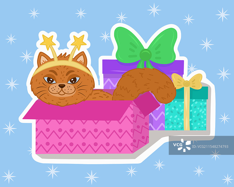 一只小猫坐在礼品盒里图片素材