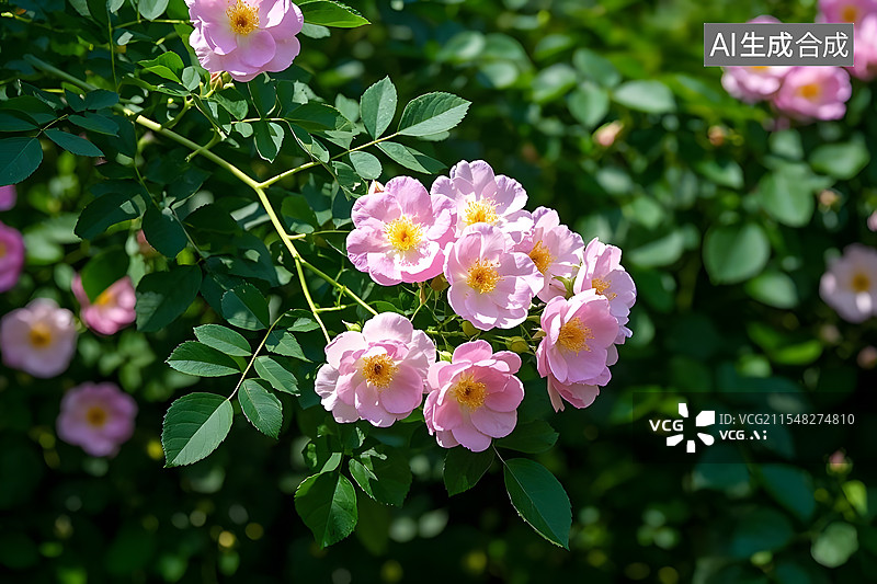 【AI数字艺术】万物复苏春暖花开花海草地图片素材