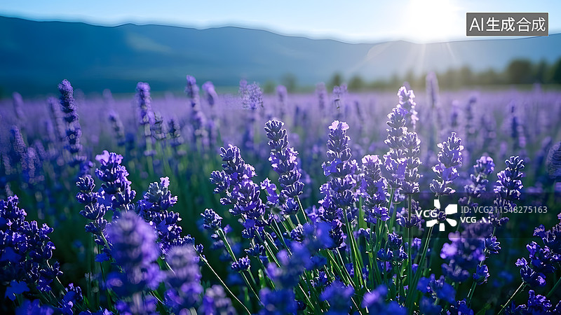 【AI数字艺术】万物复苏春暖花开花海草地图片素材