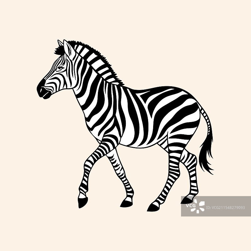 斑马艺术图片素材