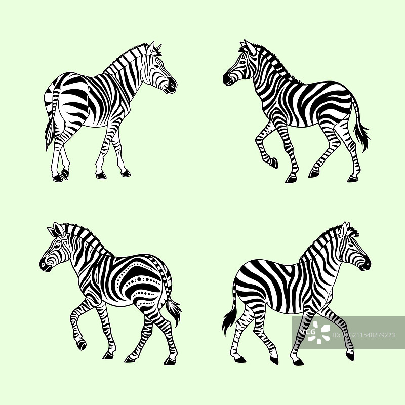 斑马艺术作品集图片素材