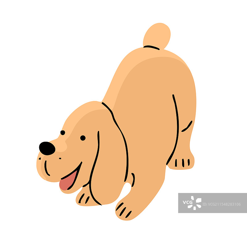 可爱的西班牙猎犬在白色背景上图片素材