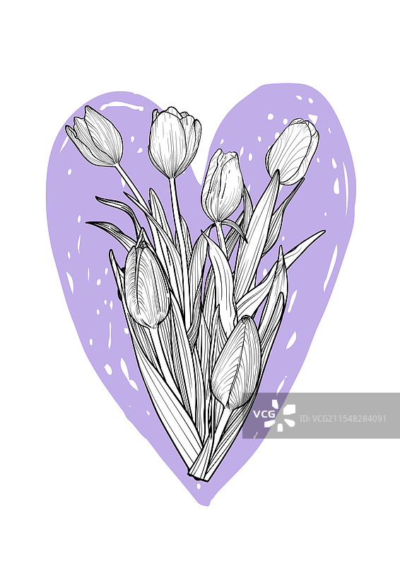手绘郁金香花束在紫色心形背景上图片素材