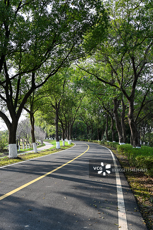 钱塘江绿荫步道图片素材