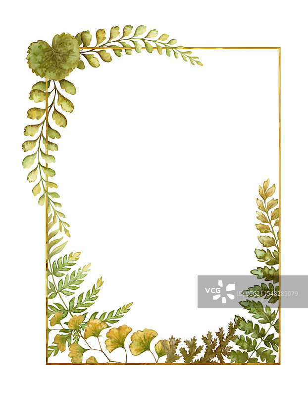 带有蕨类植物叶子的矩形框架植物卡片图片素材