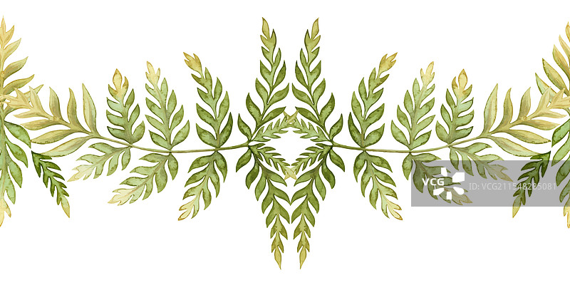 优雅的蕨类植物叶子无缝边框在大地上图片素材