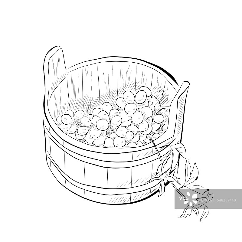 线条画食品 - 藤编篮子图片素材