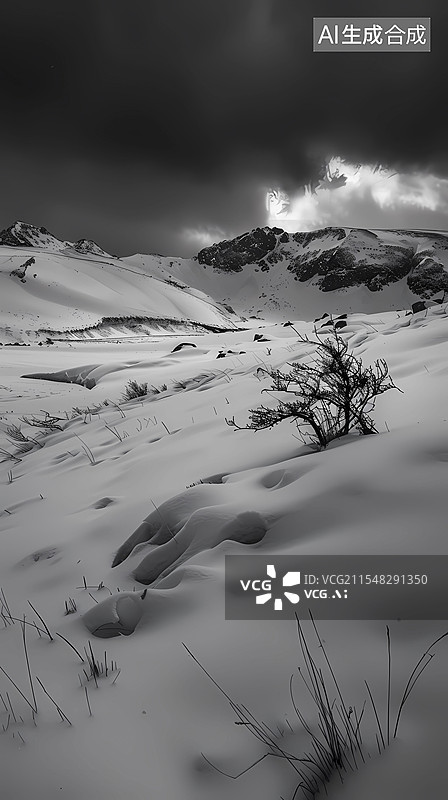 【AI数字艺术】数码科技黑白雪山风景海报背景图片素材