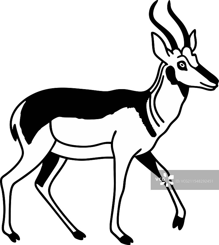 优雅的叉角羚轮廓与角图片素材