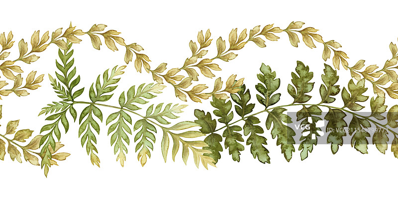 优雅的蕨类叶子无缝边框在大地上图片素材