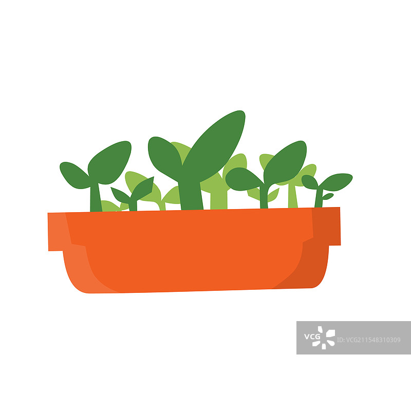 一个橙色的长方形花盆，里面种植着各种绿色植物图片素材