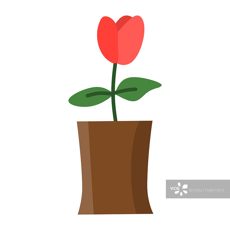 一朵简单的红色郁金香花，拥有三片花瓣图片素材