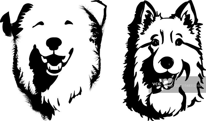 白色背景上的狗头轮廓肖像图片素材