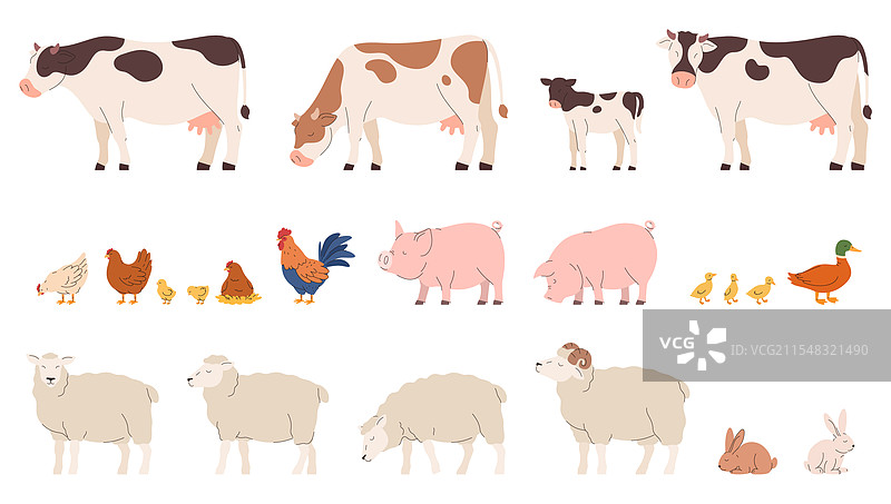 一组农场动物，生态家畜图片素材