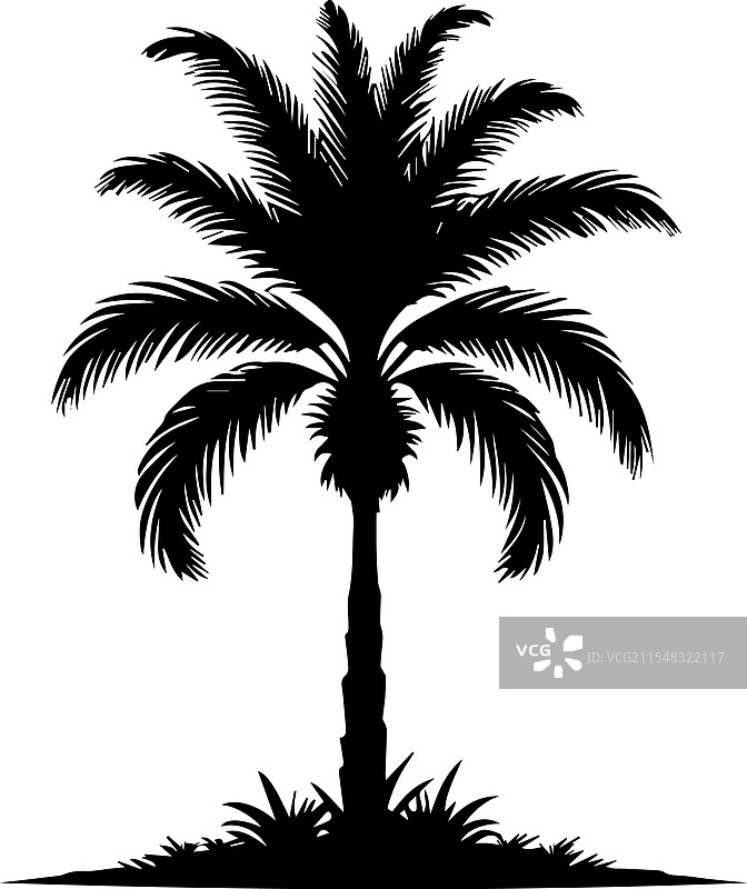 棕榈树剪影图片素材