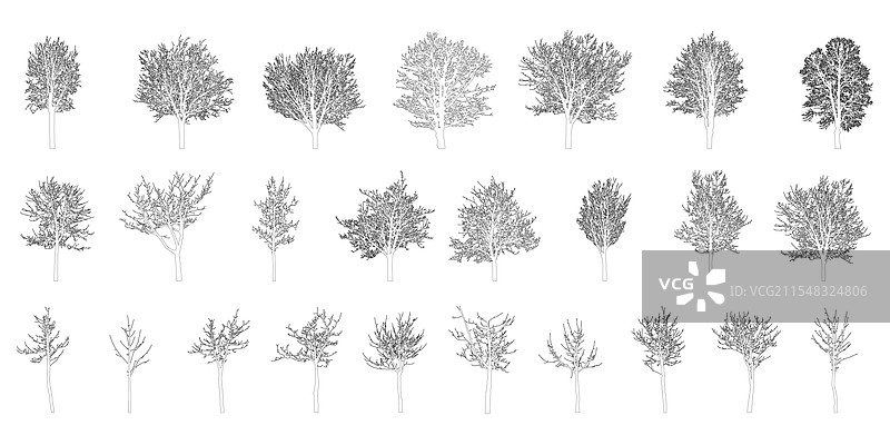 光秃的落叶树轮廓集图片素材