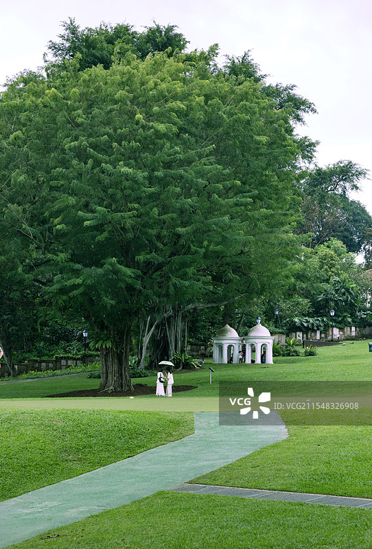 新加坡福康宁公园 Fort Canning Park图片素材