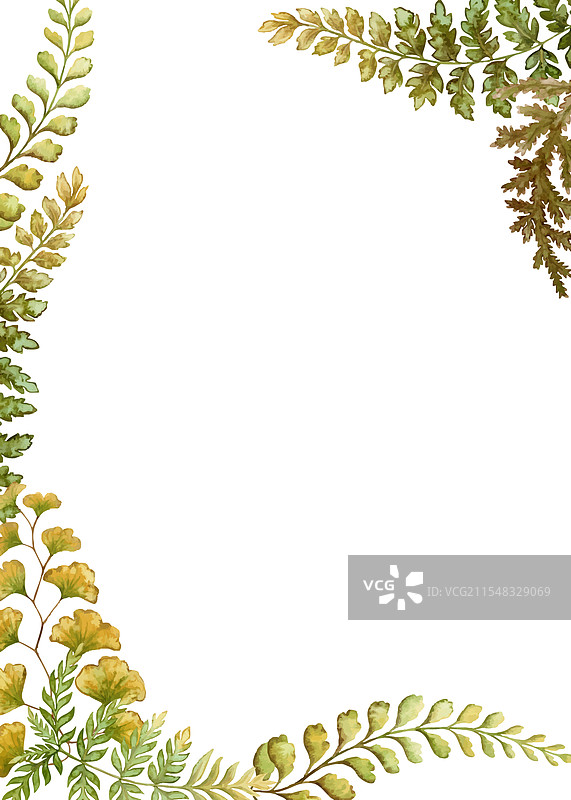 带有蕨类植物的垂直卡片框模板图片素材