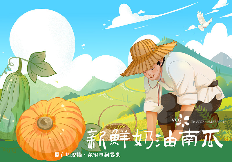 南瓜包装插画图片素材
